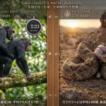 世界各国の文化や言葉に見る性の雑学
