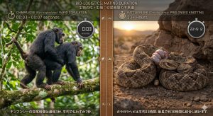 世界各国の文化や言葉に見る性の雑学